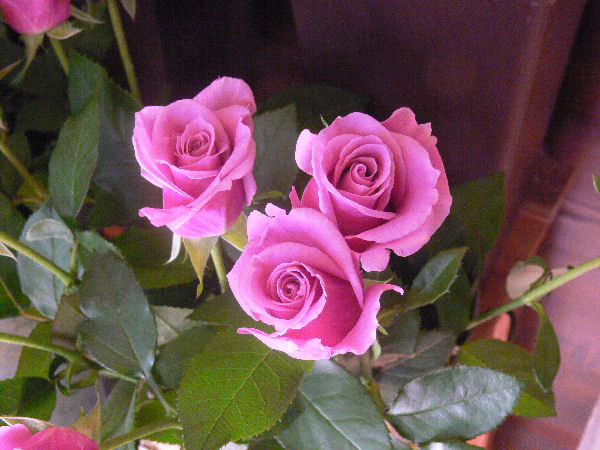 e0140986_16284584.jpg