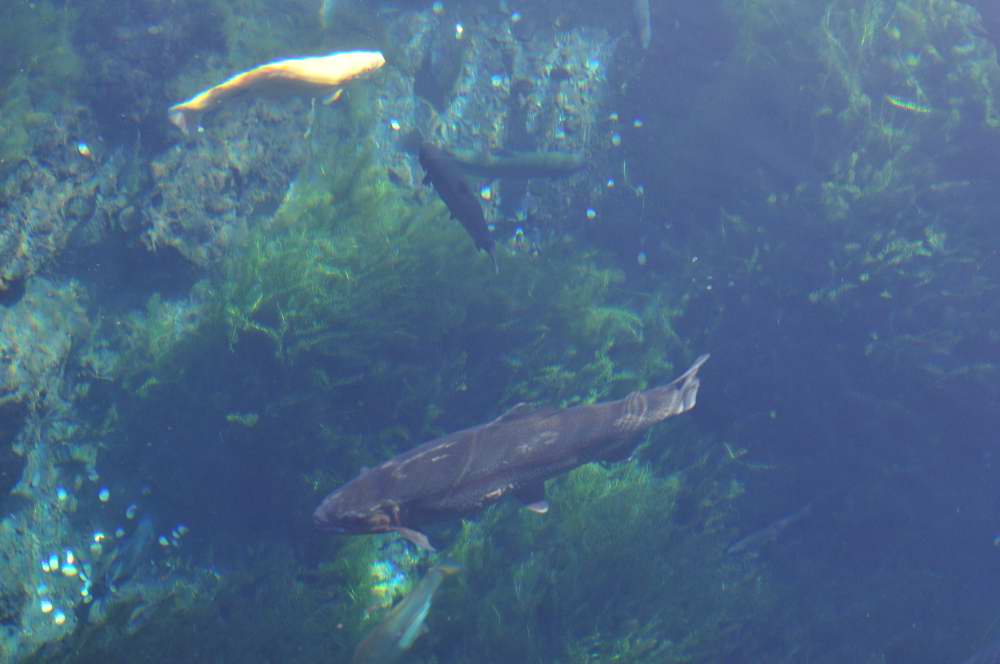 f0202686_19123856.jpg