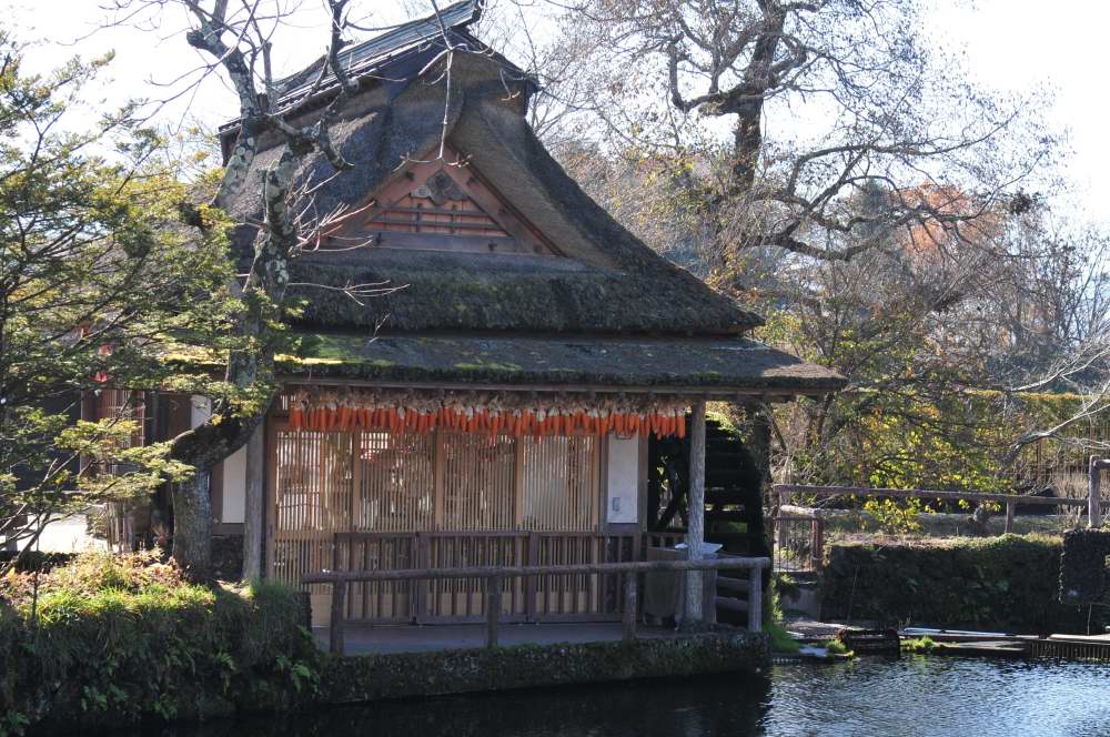 f0202686_1912494.jpg
