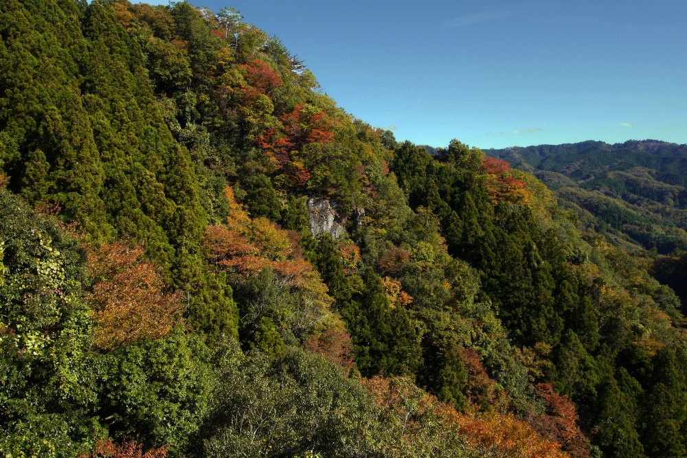 竜神大吊橋・袋田の滝_c0252688_16491202.jpg