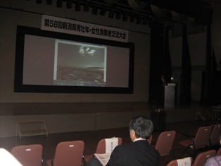 新潟_d0268290_7283718.jpg