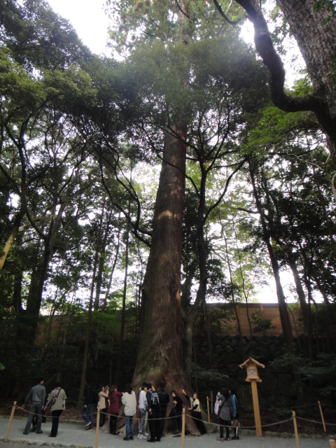 e0213194_16522165.jpg