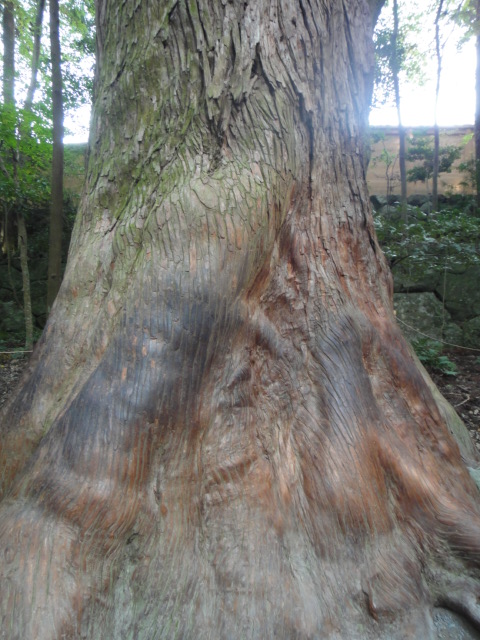 e0213194_16524590.jpg