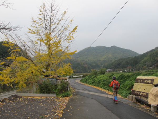 宇佐のかくれ名山～台山を登る　2013･11･17（日）くもり_a0166196_9453642.jpg