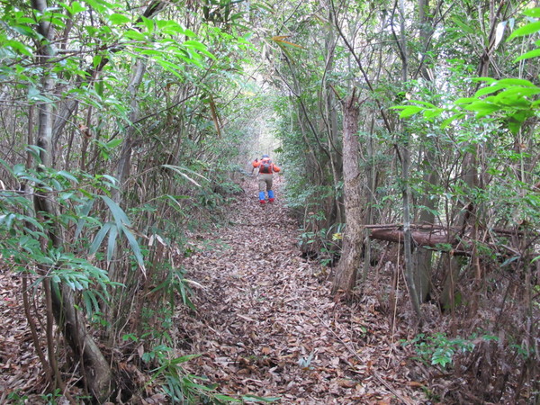 宇佐のかくれ名山～台山を登る　2013･11･17（日）くもり_a0166196_9475486.jpg