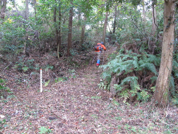 宇佐のかくれ名山～台山を登る　2013･11･17（日）くもり_a0166196_947654.jpg