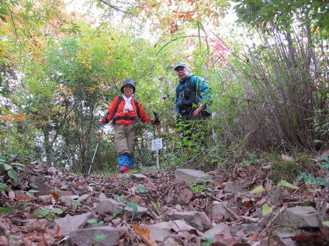 宇佐のかくれ名山～台山を登る　2013･11･17（日）くもり_a0166196_958548.jpg