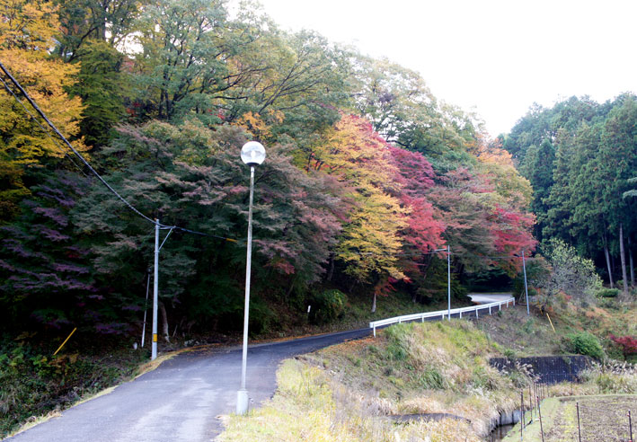 白雲荘の紅葉まっ盛り_b0145296_10273948.jpg