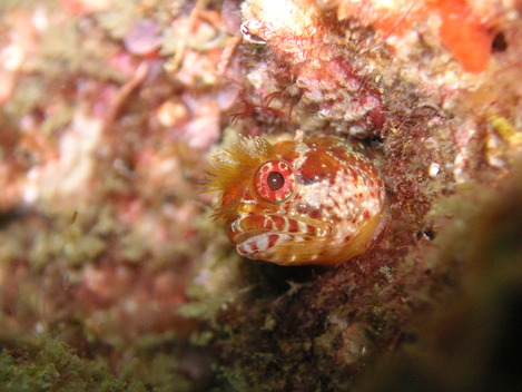 e0115199_1656870.jpg