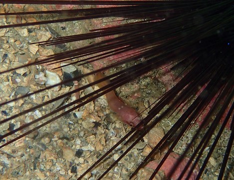 e0115199_16574295.jpg