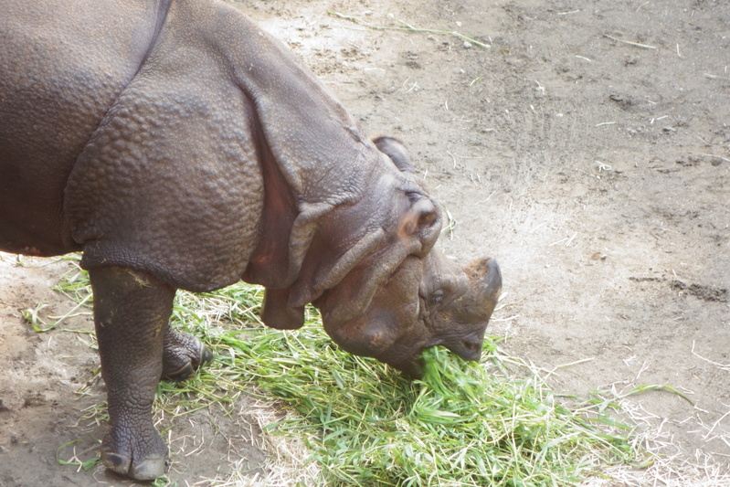 a0248700_194158.jpg