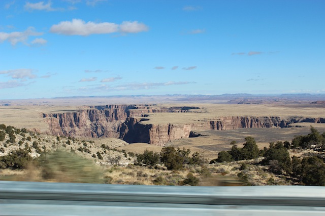 c0306400_0115577.jpg
