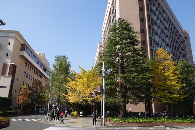 a0167803_6544967.jpg