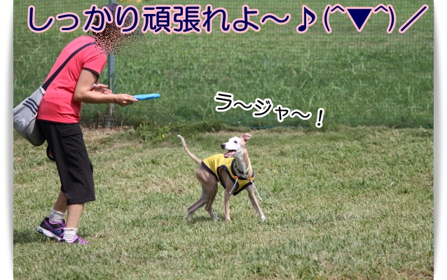 e0100007_21465054.jpg