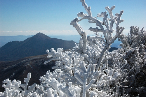 e0314407_19201292.jpg