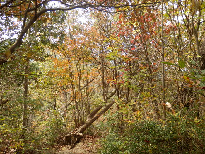 f0219710_754354.jpg