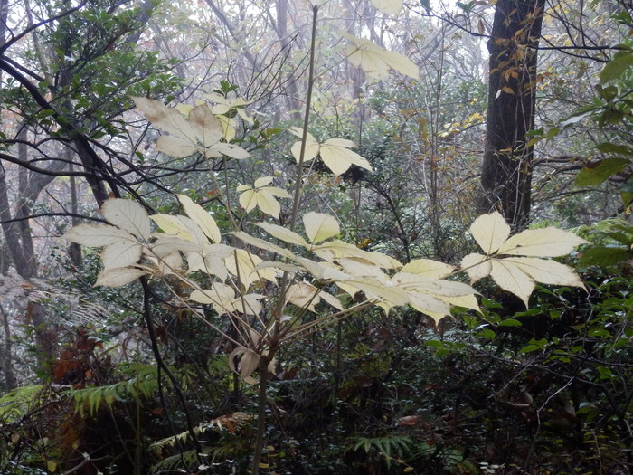 f0219710_784660.jpg