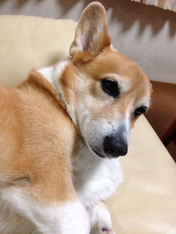 塩分控えめ_d0169411_214227.jpg