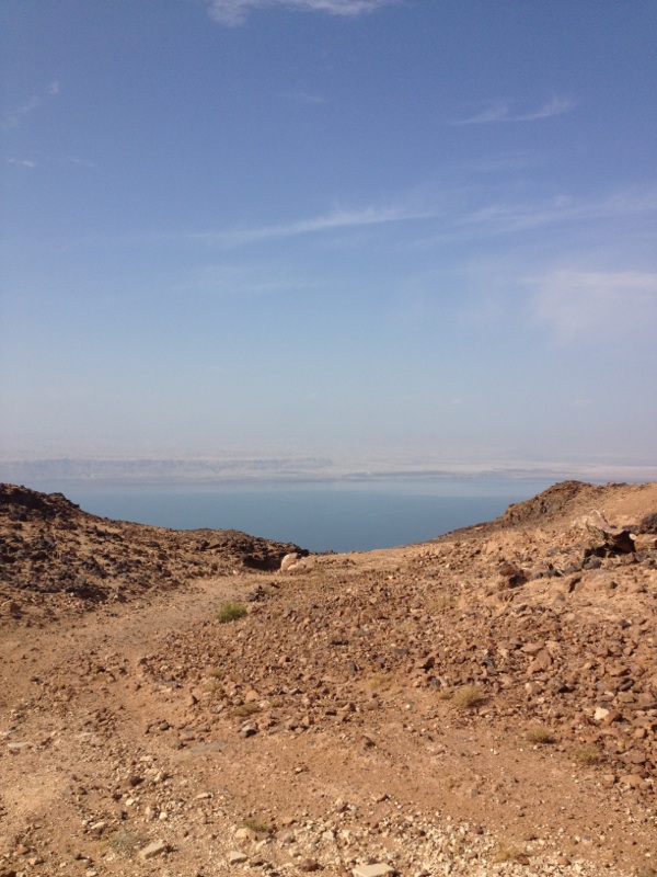 d0333111_056165.jpg