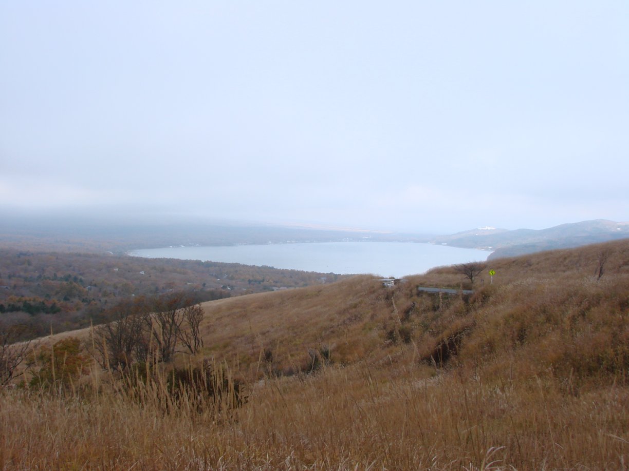 e0027711_1401323.jpg
