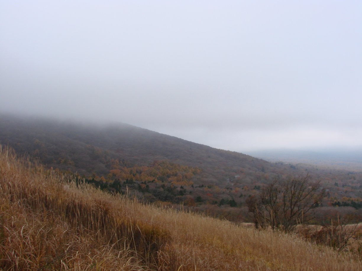 e0027711_140374.jpg