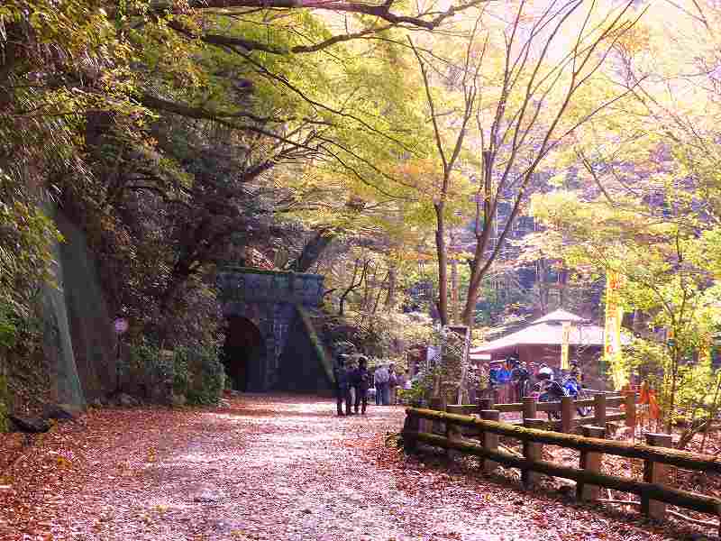 f0182513_18445113.jpg