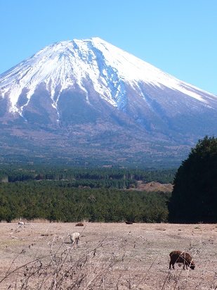 b0264320_15543132.jpg