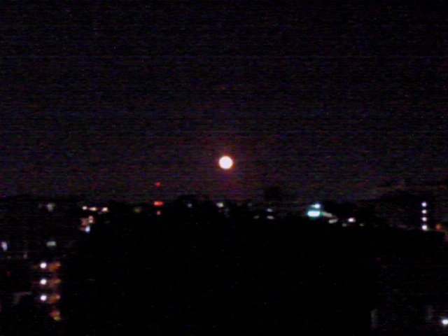 a0291521_10361747.jpg