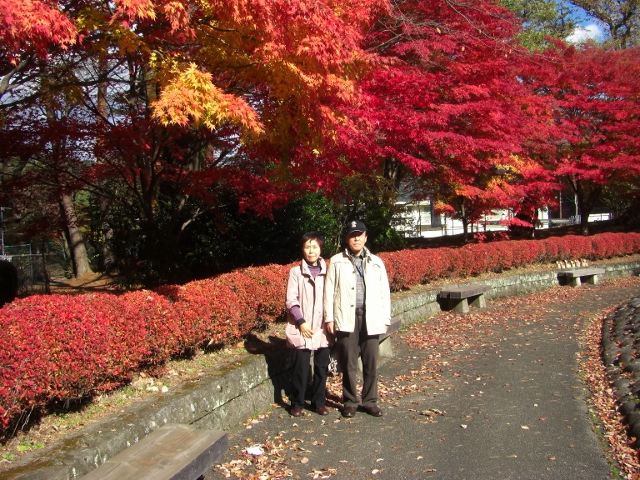 c0074721_1611897.jpg