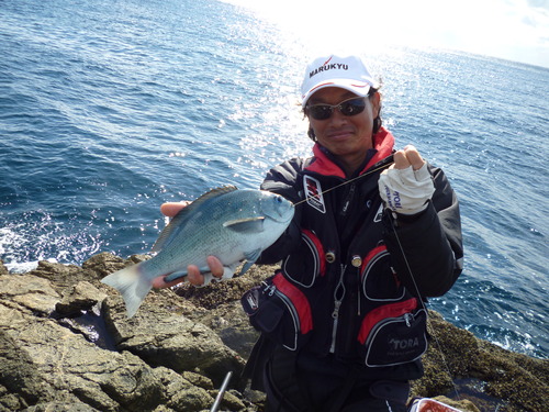 樫野釣果_a0093423_19265286.jpg