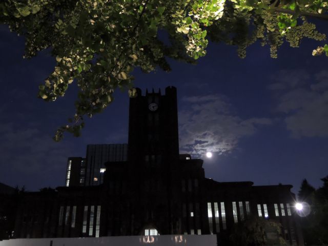 a0166324_21461571.jpg