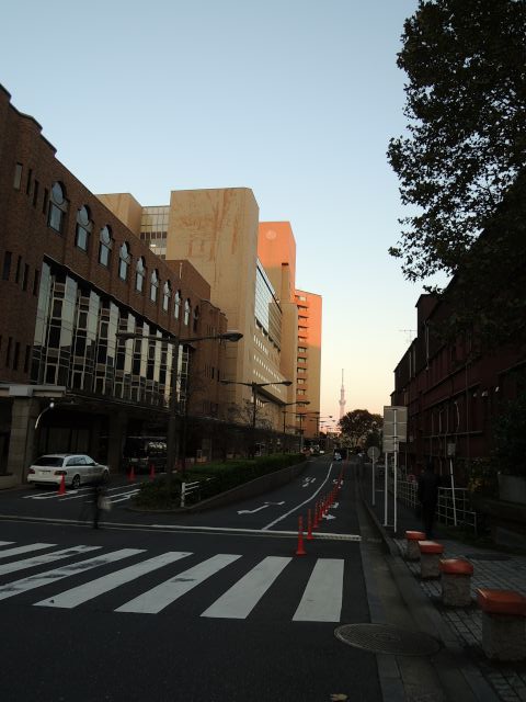 a0166324_22362898.jpg
