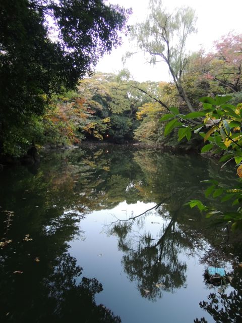 a0166324_2242173.jpg