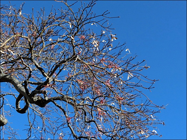 e0234924_1014815.jpg