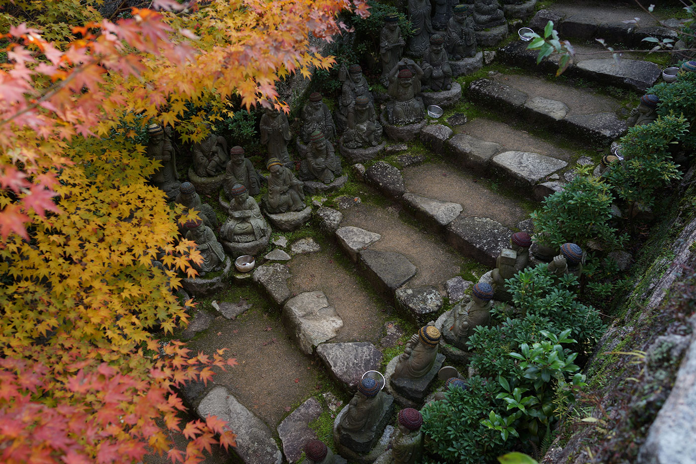 秋の安芸の宮島2〜（登山はなし）_c0064025_16443714.jpg