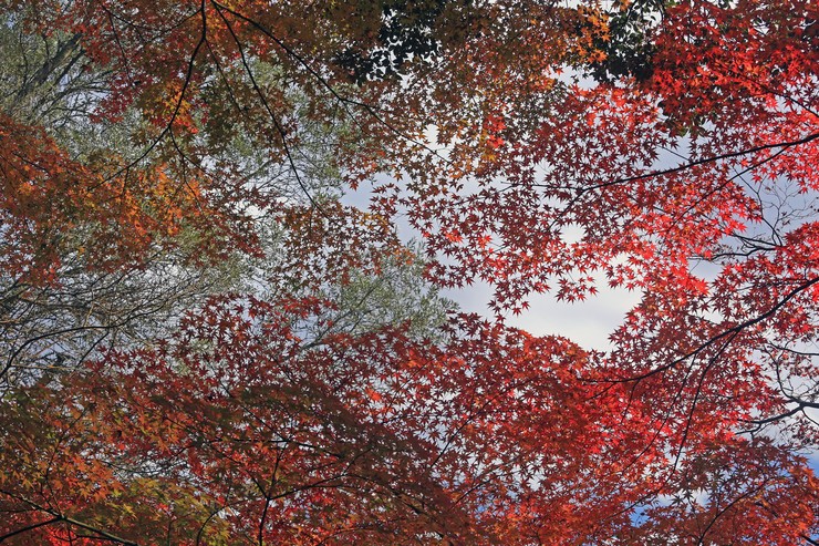 c0104227_1931740.jpg