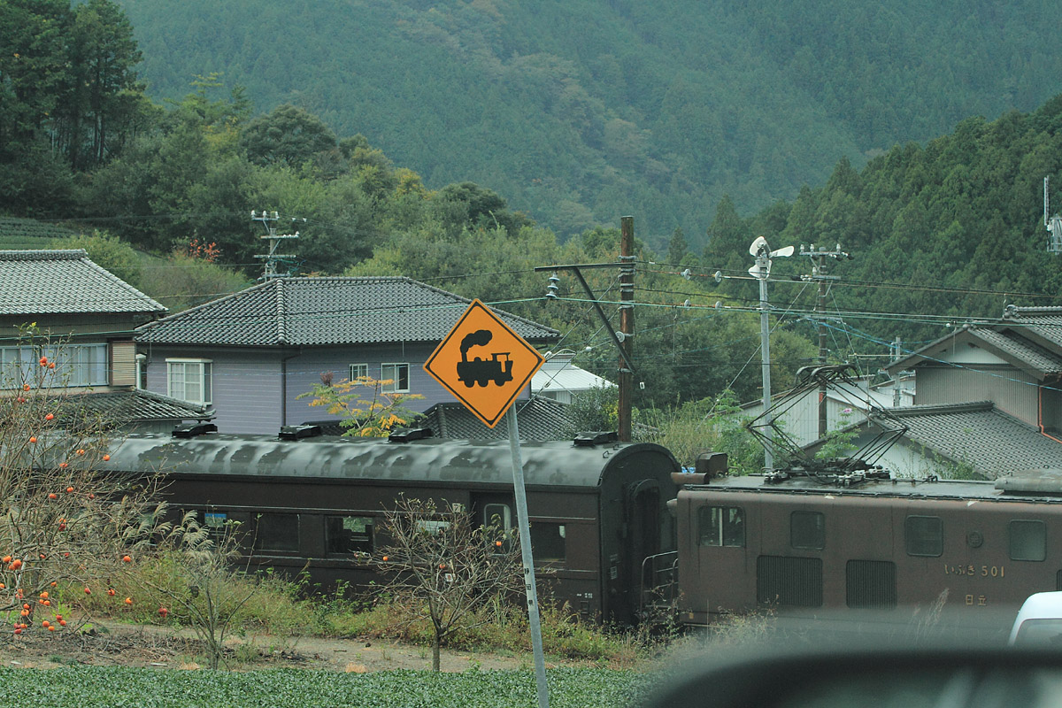 b0222029_1750142.jpg