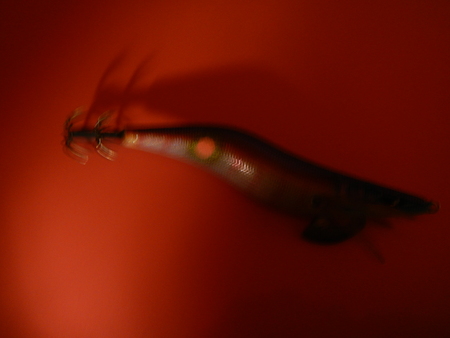 a0248230_21123478.jpg