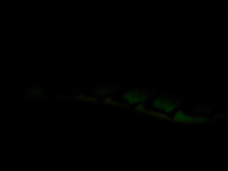 a0248230_21184343.jpg