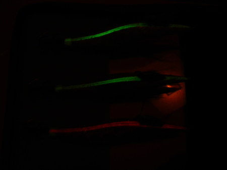 a0248230_219338.jpg