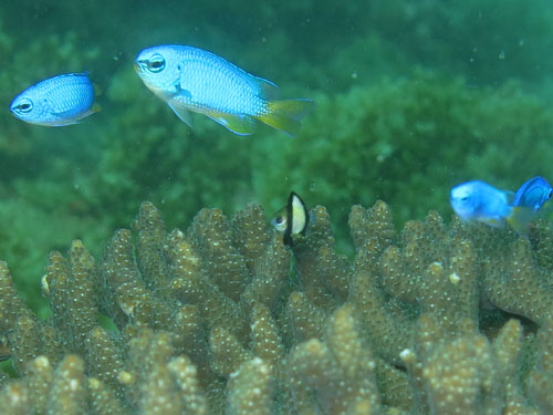 2013年11月19日(火・晴れ)甲浦_d0164831_15573591.jpg