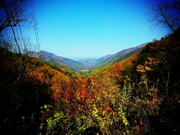 f0238332_8255268.jpg