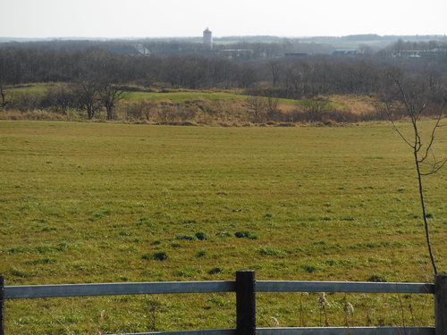 e0262235_21792.jpg