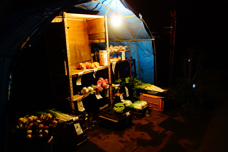 a0287336_2220651.jpg
