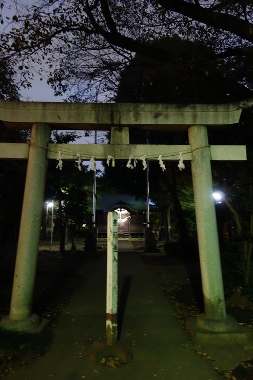 萩に月猫 国分寺/洋食 カフェ～西立川からぶらぶら その11_a0287336_2221057.jpg