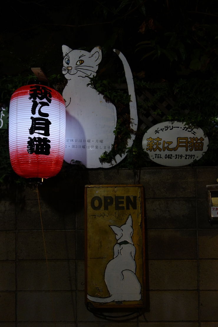 萩に月猫 国分寺/洋食 カフェ～西立川からぶらぶら その11_a0287336_23194226.jpg