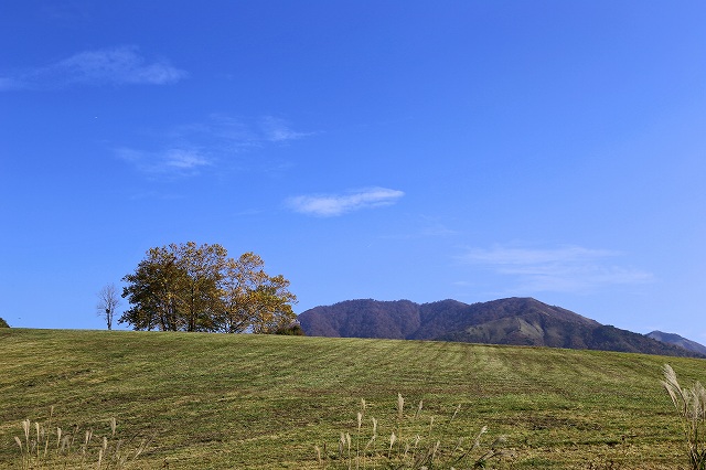 a0242438_19502432.jpg