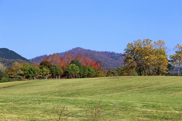 a0242438_19502977.jpg