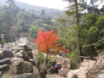 e0110940_1514375.jpg