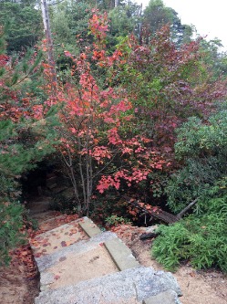 e0110940_1541622.jpg